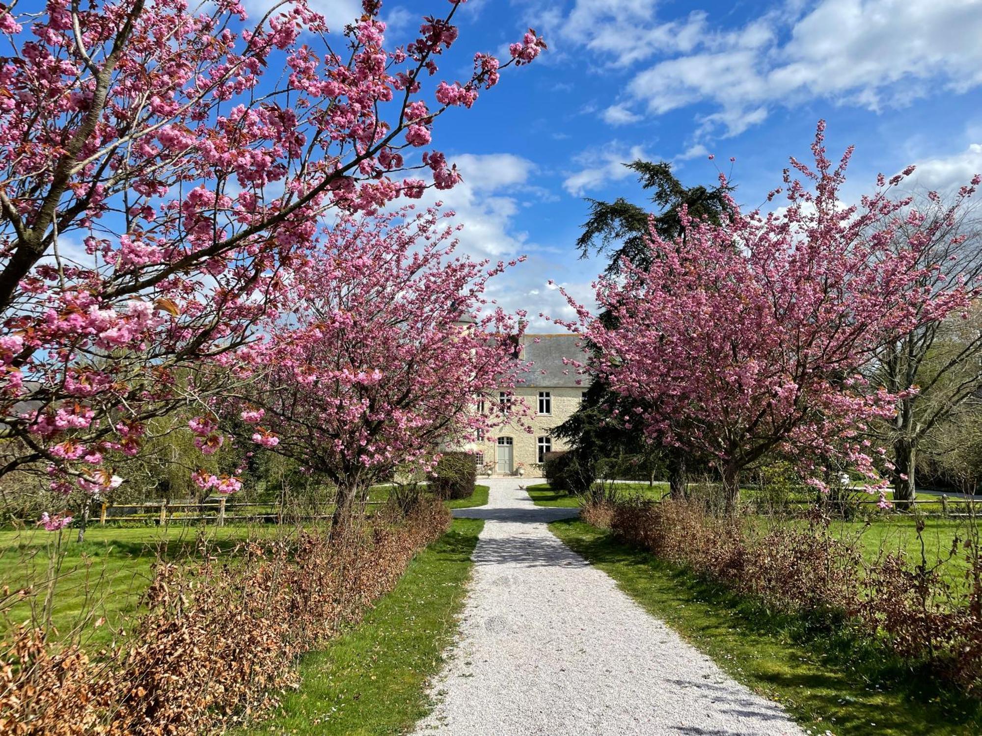Chateau De Monfréville Eksteriør bilde
